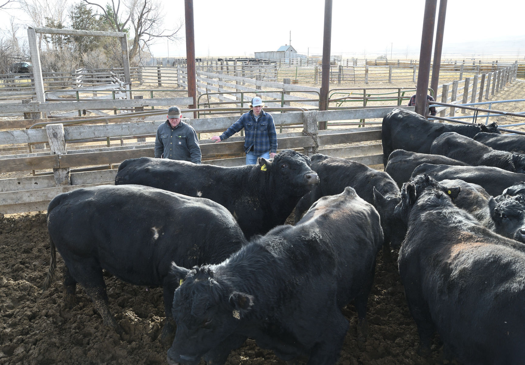Ranchers deal with fallout from Badger Fire